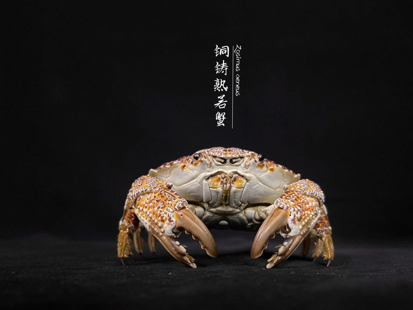 Variant Image